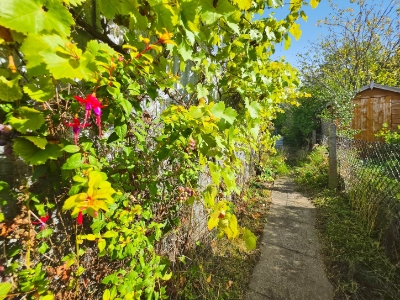 Picture 25
